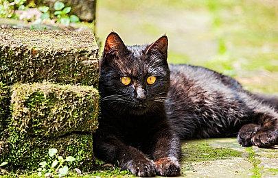 KK官方对战平台《开弓没有回头箭》，新赛道生存爽图震撼上线！